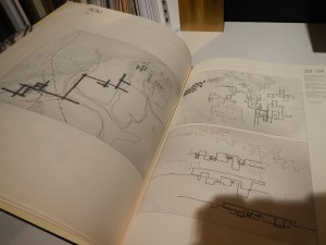 DSCN3518