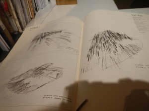DSCN3522