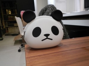 DSCN3857