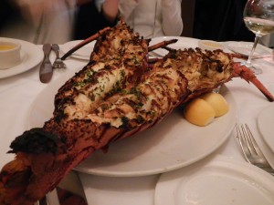 DSCN3915