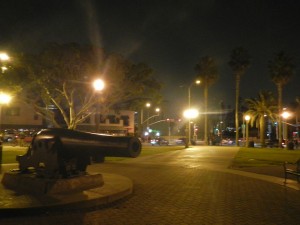 DSCN3923