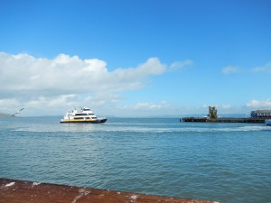 DSCN4084